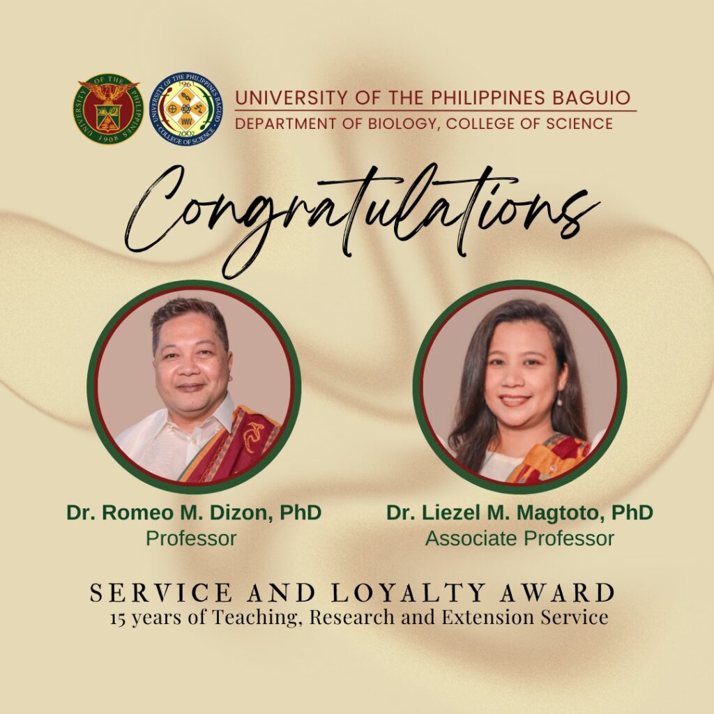 Faculty members receive the Service and Loyalty Award in recognition of their 15 years of dedicated service to the University of the Philippines Baguio at the Araw ng Parangal 2024