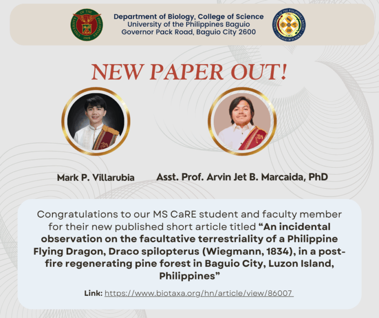 New published short article out titled “An incidental observation on the facultative terrestriality of a Philippine Flying Dragon, Draco spilopterus (Wiegmann, 1834), in a post-fire regenerating pine forest in Baguio City, Luzon Island, Philippines”