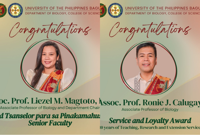 Faculty members receive the Service and Loyalty Awards and the Gawad Tsanselor at the University of the Philippines Baguio at the Araw ng Parangal 2025