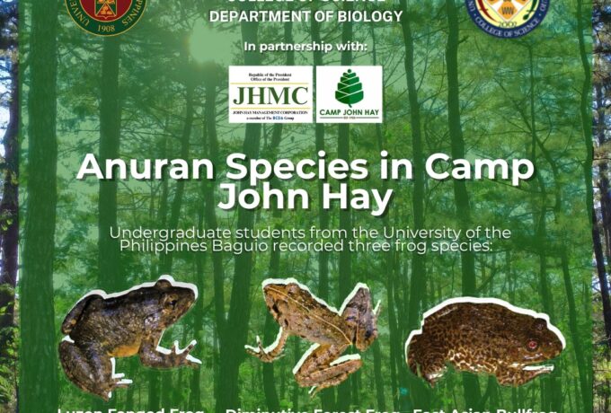 Research Highlight: Anuran species found in Camp John Hay by DB Students